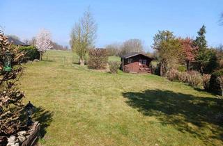 Haus kaufen in 23869 Elmenhorst, Elmenhorst - FELDRANDLAGE!!! Wohnen im Grünen: Traumhafter Bungalow mit Ausbaureserve