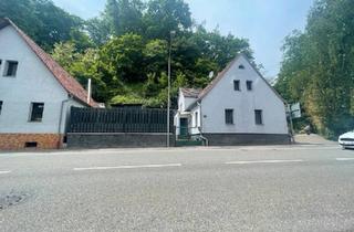 Einfamilienhaus kaufen in 69488 Birkenau, Birkenau - Einfamilienhaus mit Holzofen, Terrasse, und Hobbyraum