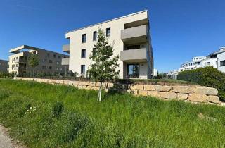 Wohnung kaufen in Anna-Haag-Weg 45, 71069 Sindelfingen-Maichingen, Sindelfingen-Maichingen - AllmendFields | Neubauwohnung mit Ostbalkon und Weitblick!