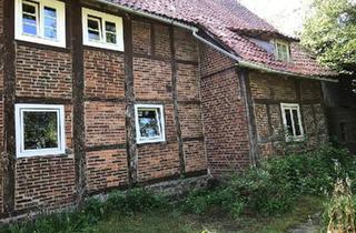 Haus kaufen in 32676 Lügde, Lügde - Großes Grundstück mit Haus