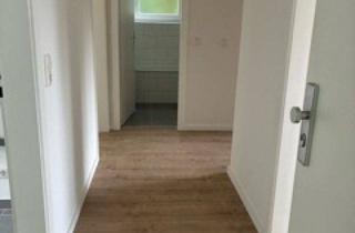 Wohnung mieten in Albert-Schweitzer-Ring 66, 25524 Itzehoe, Helle 3-Zimmer-Wohnung in Itzehoe-Edendorf – frisch saniert & bezugsfrei ab 01.10.