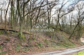 Grundstück zu kaufen in 55546 Tiefenthal, Waldgrundstück im Kreis Bad Kreuznach zu verkaufen