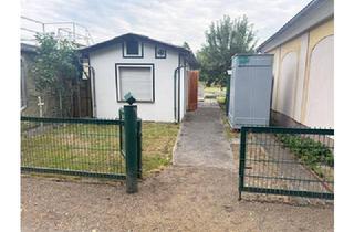 Haus kaufen in 03253 Schönborn, Natur pur - Wassergrundstück!