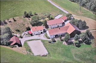 Bauernhaus kaufen in 94034 Passau, Naturparadies mit Hofstelle – Ideal für Tierhaltung, Selbstversorgung und Landwirtschaft – über Passau – Bereich Oberhaus