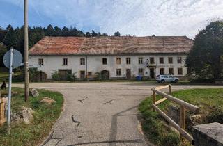 Haus kaufen in 79837 St. Blasien, St. Blasien - Ehemailiges Gasthaus Sonne