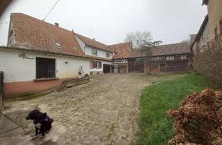 Bauernhaus kaufen in 76187 Karlsruhe, Karlsruhe - Geräumiger Bauernhof im Nordelsaß