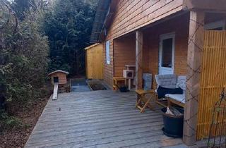 Haus kaufen in 27793 Wildeshausen, Wildeshausen - Ferienhaus auf Campingplatz