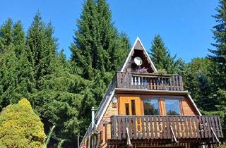 Haus kaufen in 09496 Marienberg, Marienberg - Finde Deinen Ruhepol! Ferienhaus Finnhütte m. Option z. Wohnhaus