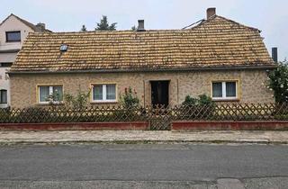 Einfamilienhaus kaufen in 04849 Bad Düben, Bad Düben - Kleines Einfamilienhaus