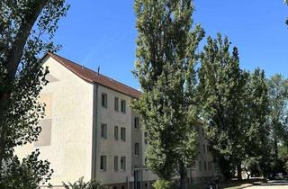 Wohnung mieten in Ermslebener Straße 91, 06449 Aschersleben, ++NEU: 4-Raumwohnung in ruhiger Lage++