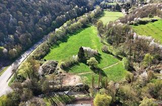 Gewerbeimmobilie kaufen in 53902 Bad Münstereifel, Gelegenheit! Projektierter Campingplatz - Bad Münstereifel