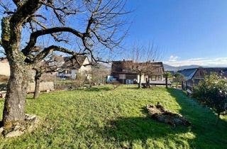 Haus kaufen in 77933 Lahr, Geräumiges Zweifamilienhaus mit einem Baugrundstück in Lahr-Reichenbach