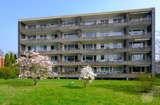 Wohnung kaufen in 42655 Solingen, 2 Wohnungen im Paket Charmante 2-Zimmer & 3-Zimmerwohnung mit Balkon in Solingen-Wald