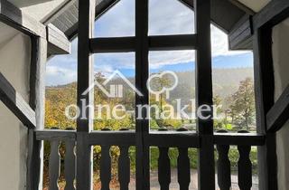 Lofts mieten in 74821 Mosbach, Tolle, neu renovierte Loftwohnung mit grosser Loggia und Duo Dachflächenfenstern