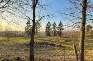 Grundstück zu kaufen in 01328 Dresden, Provisionsfrei: ca. 2.652 m² Freizeitgrundstück im Dresdner Hochland mit Gartenlaube & Weitblick!
