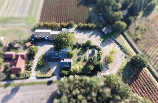 Haus kaufen in 49419 Wagenfeld, Wagenfeld - Arbeiten, Wohnen, Vermieten - Ihr multifunktionales Anwesen