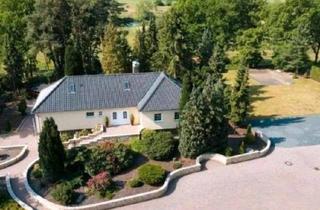 Einfamilienhaus kaufen in 29308 Winsen, Winsen (Aller) - Einfamilienhaus Halle Gewerbemischimmobilie