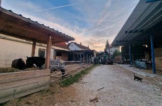Bauernhaus kaufen in 89522 Heidenheim, Heidenheim an der Brenz - Bauernhof mit viel Potential