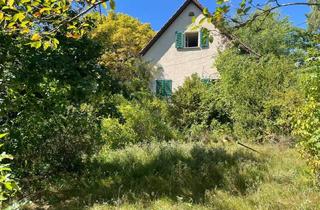 Haus kaufen in 97779 Geroda, Geroda: Charaktervolles Wohnhaus in der bayrischen Rhön mit Gästehaus und Panoramablick ins Grüne