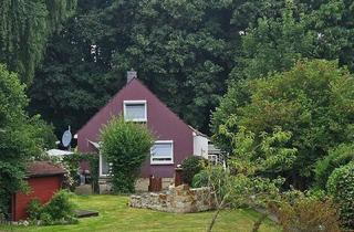 Einfamilienhaus kaufen in 31683 Obernkirchen, Obernkirchen - Charmantes Haus am Stiftswald in Oberkirchen zu verkaufen