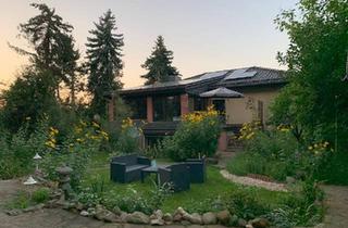 Villa kaufen in 06773 Gräfenhainichen, Gräfenhainichen - Exklusive Villa mit Pool, Sauna, PV-Anlage & großem Grundstück