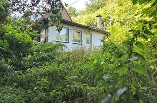 Haus kaufen in 99765 Heringen/Helme, Heringen/Helme - Heringen: Waldhaus inmitten der Natur - Ruhe und Privatsphäre pur