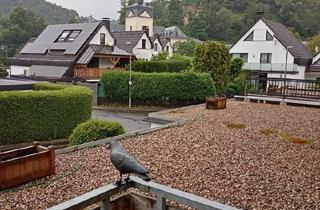 Wohnung kaufen in 56170 Bendorf, Bendorf - Verkaufe 1 Zimmerwohnung