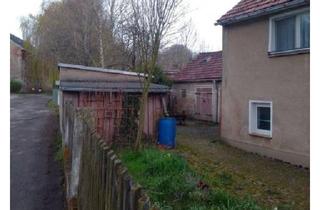 Einfamilienhaus kaufen in 04749 Ostrau, Ostrau - Verkaufe Grundstück mit Haus