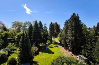 Einfamilienhaus kaufen in 56567 Neuwied, Neuwied - Einfamilienhaus saniert 2018 auf 1765 m Parkgrundstück mit Bach