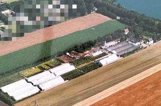 Mehrfamilienhaus kaufen in 50259 Pulheim, Pulheim - Mehrfamilienhaus mit großem Grundstück