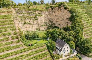 Einfamilienhaus kaufen in 70378 Stuttgart, Stuttgart - Exklusives Traumhaus mitten in den Weinbergen