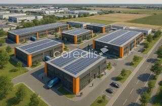 Gewerbeimmobilie mieten in 45476 Mülheim an der Ruhr, Neubau im Ruhrgebiet: Moderne Hallenflächen nach Maß – Exklusiv über Corealis !