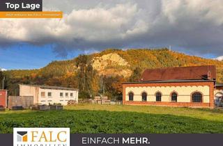 Grundstück zu kaufen in 07768 Kahla, Schönes Baugrundstück am Rande der Altstadt