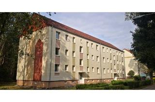 Mehrfamilienhaus kaufen in 19372 Ziegendorf, Lewitzrand - Mehrfamilienhaus