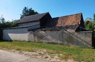 Haus kaufen in 03185 Peitz, Peitz - Grundstück