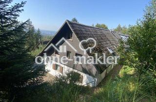 Wohnung mieten in Hardsteinweg 1B, 77886 Lauf, 1,5 Zimmer Wohnung am Waldrand