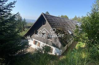 Wohnung mieten in 77886 Lauf, 1,5 Zimmer Wohnung am Waldrand