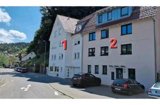 Mehrfamilienhaus kaufen in 75365 Calw, Calw - 2 Mehrfamilienhäuser