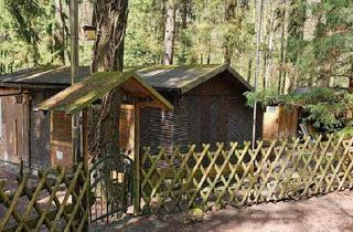 Haus kaufen in 06868 Coswig, Coswig (Anhalt) - Wochenend Grundstück Möllensdorf