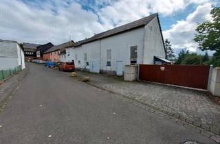 Bauernhaus kaufen in 54518 Osann-Monzel, Osann-Monzel - Liebhaber Projekt