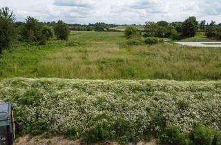 Grundstück zu kaufen in 04425 Taucha, Baugrundstücke für Doppelhäuser in Taucha!