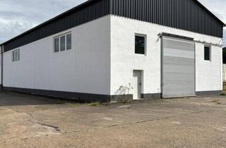 Geschäftslokal mieten in 64832 Babenhausen, Vielseitig nutzbare Kalthalle