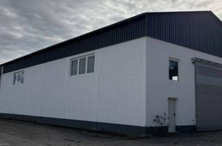 Geschäftslokal mieten in 64832 Babenhausen, Vielseitig nutzbare Kalthalle