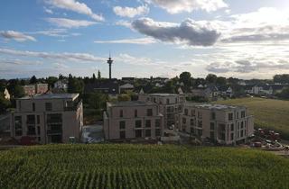 Penthouse mieten in 53797 Lohmar, Nachhaltig. Modern. Komfortabel – Ihre exklusive 3-Zimmer-Penthouse-Wohnung im KfW-40-Standard.