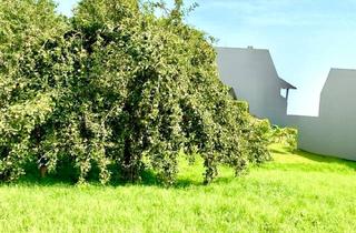 Grundstück zu kaufen in 96191 Viereth-Trunstadt, Ihr Platz zum Ankommen und Wohlfühlen * Schönes Baugrundstück in Trunstadt!