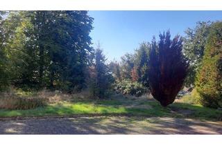 Immobilie kaufen in 51545 Waldbröl, Großes und schönes Baugrundstück oberhalb des Stadtzentrums von Waldbröl