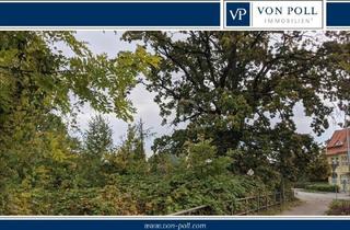Immobilie kaufen in 17389 Anklam, Unbebautes Grundstück im Innenbereich von Anklam