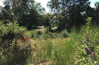 Immobilie kaufen in 66424 Homburg, Baugrundstück in bevorzugter Wohnlage von Homburg