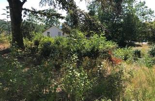 Immobilie kaufen in 66424 Homburg, Teilbares Baugrundstück in bevorzugter Wohnlage von Homburg