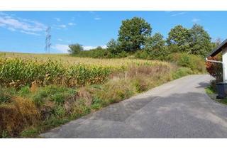 Wohnung kaufen in 67731 Otterbach, Eigentumswohnungen, Kaiserslautern, Landkreis